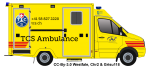 TCS Ambulance.png